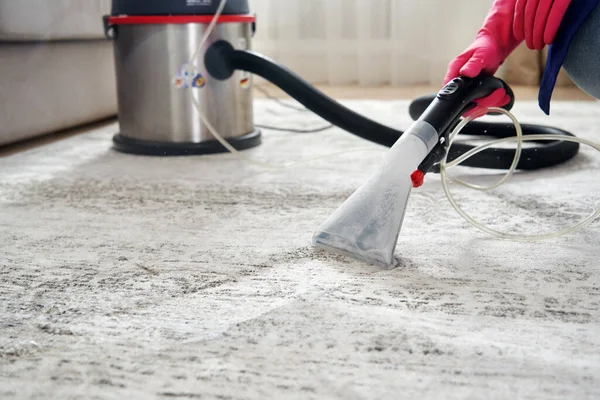 Professional carpet cleaning service in action
