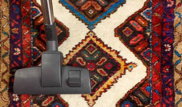 Professional carpet cleaning technician at work